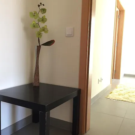 아파트 Mondego Terrace 피게이라다포즈
